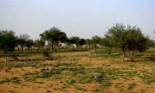Base Kani Arabia Saudita 5 Base Kani Arabia Saudita 5