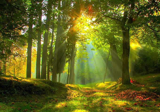 All things that are hidden must be seen and observed in order to be healed Healing the False Parent - All things that are hidden must be seen and observed in order to be healed