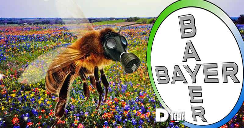 Pesticida Bayer Uccide le Api Pesticida Bayer Uccide le Api