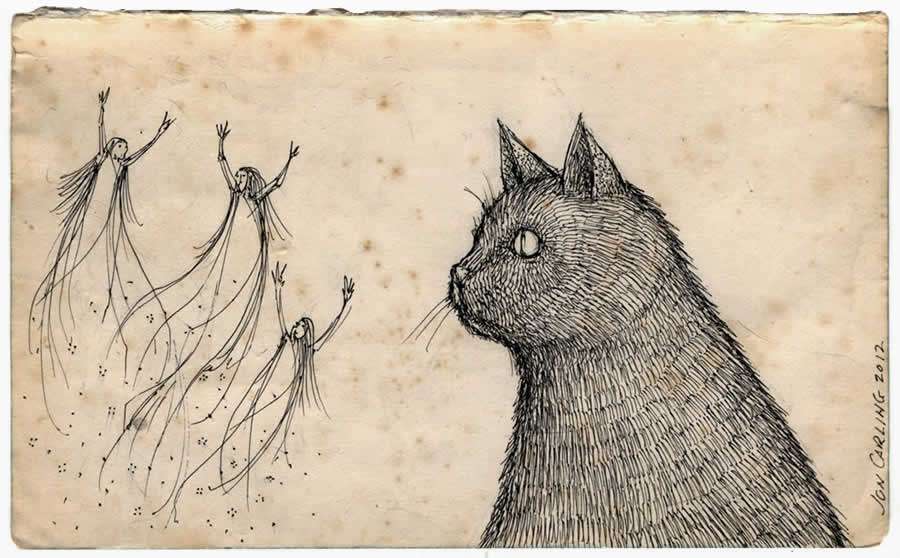Constant Surges Of Energy - Animal Intelligence