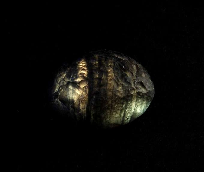 Translucent Striped 2.5 Grams Backlit with White Light Translucent Striped 2.5 Grams Backlit with White Light
