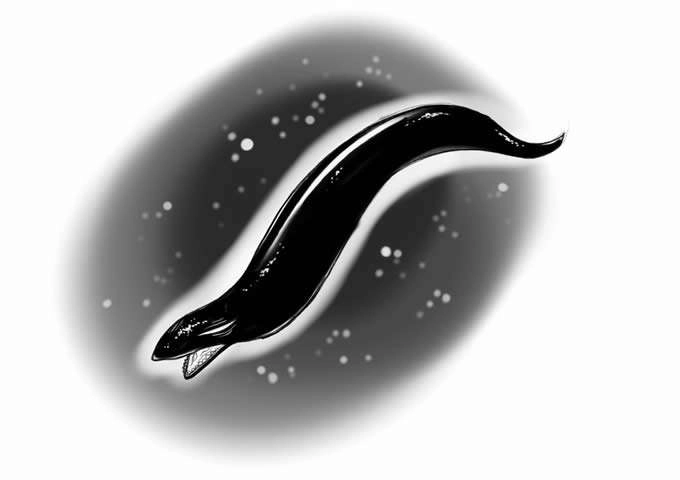 Verme Plasmatico Vokun Tattoo Verme Plasmatico Vokun Tattoo