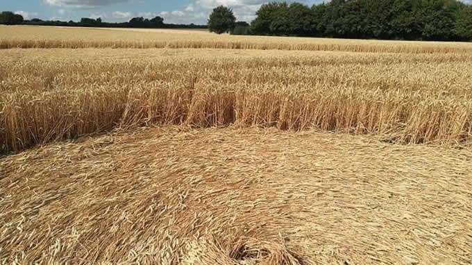 Warwickshire, UK - 7/26/18 Warwickshire, UK - 7/26/18