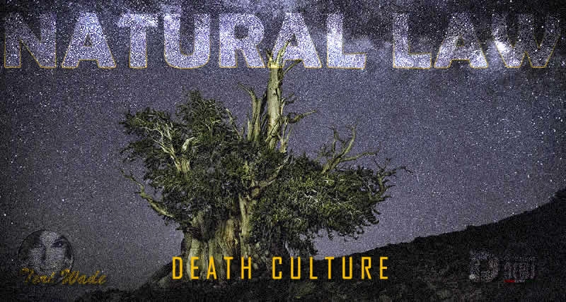 Natural Law Death Culture